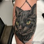 фото рисунка тату черная кошка 13.11.2018 №025 - black cat tattoo picture - tattoo-photo.ru