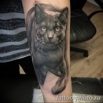 фото рисунка тату черная кошка 13.11.2018 №037 - black cat tattoo picture - tattoo-photo.ru
