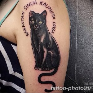 фото рисунка тату черная кошка 13.11.2018 №054 - black cat tattoo picture - tattoo-photo.ru