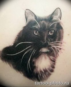 фото рисунка тату черная кошка 13.11.2018 №061 - black cat tattoo picture - tattoo-photo.ru