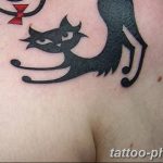 фото рисунка тату черная кошка 13.11.2018 №084 - black cat tattoo picture - tattoo-photo.ru