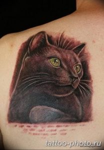 фото рисунка тату черная кошка 13.11.2018 №097 - black cat tattoo picture - tattoo-photo.ru