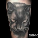 фото рисунка тату черная кошка 13.11.2018 №115 - black cat tattoo picture - tattoo-photo.ru