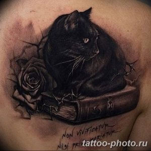 фото рисунка тату черная кошка 13.11.2018 №116 - black cat tattoo picture - tattoo-photo.ru