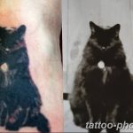 фото рисунка тату черная кошка 13.11.2018 №122 - black cat tattoo picture - tattoo-photo.ru