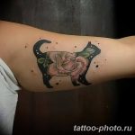 фото рисунка тату черная кошка 13.11.2018 №141 - black cat tattoo picture - tattoo-photo.ru