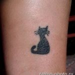 фото рисунка тату черная кошка 13.11.2018 №143 - black cat tattoo picture - tattoo-photo.ru
