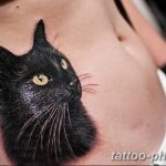 фото рисунка тату черная кошка 13.11.2018 №147 - black cat tattoo picture - tattoo-photo.ru