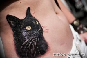 фото рисунка тату черная кошка 13.11.2018 №147 - black cat tattoo picture - tattoo-photo.ru
