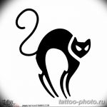 фото рисунка тату черная кошка 13.11.2018 №153 - black cat tattoo picture - tattoo-photo.ru