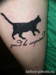 фото рисунка тату черная кошка 13.11.2018 №159 - black cat tattoo picture - tattoo-photo.ru