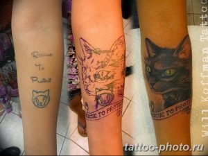 фото рисунка тату черная кошка 13.11.2018 №160 - black cat tattoo picture - tattoo-photo.ru
