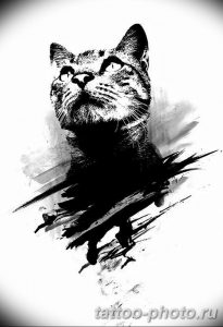 фото рисунка тату черная кошка 13.11.2018 №184 - black cat tattoo picture - tattoo-photo.ru