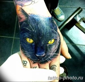 фото рисунка тату черная кошка 13.11.2018 №193 - black cat tattoo picture - tattoo-photo.ru