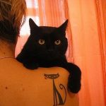 фото рисунка тату черная кошка 13.11.2018 №196 - black cat tattoo picture - tattoo-photo.ru