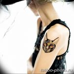 фото рисунка тату черная кошка 13.11.2018 №205 - black cat tattoo picture - tattoo-photo.ru