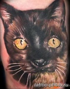 фото рисунка тату черная кошка 13.11.2018 №207 - black cat tattoo picture - tattoo-photo.ru