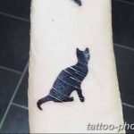 opera01.10.2015 , 22:37:29#cattattoo  Ôîòî è âèäåî íà Instagram  Opera