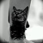 фото рисунка тату черная кошка 13.11.2018 №226 - black cat tattoo picture - tattoo-photo.ru