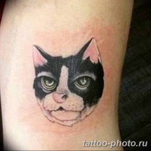 фото рисунка тату черная кошка 13.11.2018 №227 - black cat tattoo picture - tattoo-photo.ru