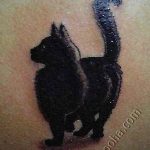 фото рисунка тату черная кошка 13.11.2018 №239 - black cat tattoo picture - tattoo-photo.ru