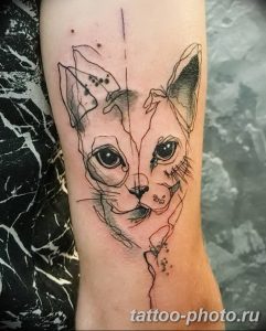 фото рисунка тату черная кошка 13.11.2018 №249 - black cat tattoo picture - tattoo-photo.ru