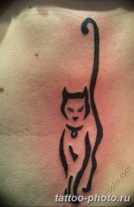 фото рисунка тату черная кошка 13.11.2018 №251 - black cat tattoo picture - tattoo-photo.ru