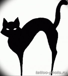 фото рисунка тату черная кошка 13.11.2018 №254 - black cat tattoo picture - tattoo-photo.ru