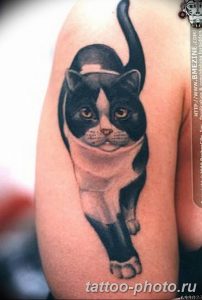 фото рисунка тату черная кошка 13.11.2018 №258 - black cat tattoo picture - tattoo-photo.ru