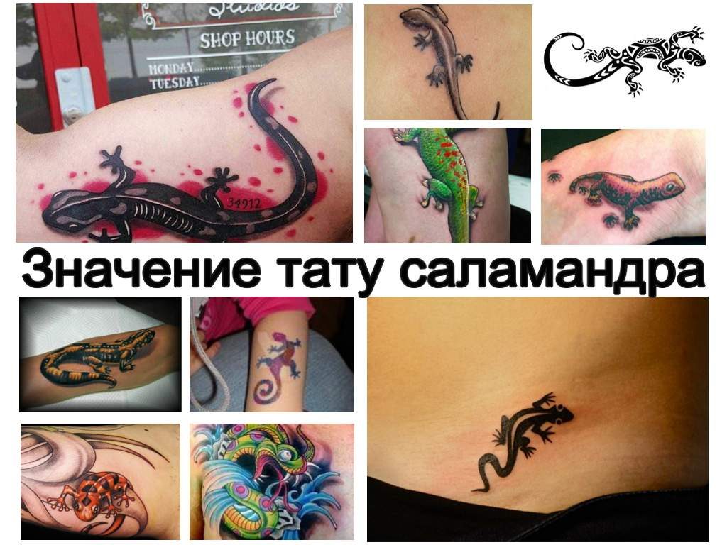 Значение тату саламандра - фото коллекция интересных рисунков татуировки