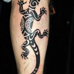Фото рисунка татуировка саламандра 30.10.2018 №008 - salamander tattoo - tattoo-photo.ru