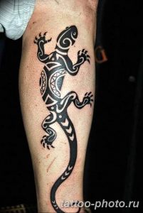Фото рисунка татуировка саламандра 30.10.2018 №008 - salamander tattoo - tattoo-photo.ru