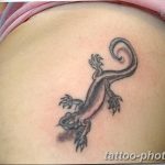 Фото рисунка татуировка саламандра 30.10.2018 №020 - salamander tattoo - tattoo-photo.ru