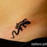 Фото рисунка татуировка саламандра 30.10.2018 №021 - salamander tattoo - tattoo-photo.ru