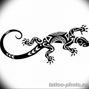 Фото рисунка татуировка саламандра 30.10.2018 №024 - salamander tattoo - tattoo-photo.ru