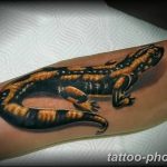 Фото рисунка татуировка саламандра 30.10.2018 №032 - salamander tattoo - tattoo-photo.ru