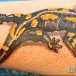 Фото рисунка татуировка саламандра 30.10.2018 №034 - salamander tattoo - tattoo-photo.ru