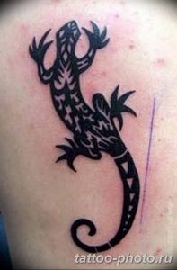 Фото рисунка татуировка саламандра 30.10.2018 №050 - salamander tattoo - tattoo-photo.ru
