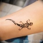 Фото рисунка татуировка саламандра 30.10.2018 №093 - salamander tattoo - tattoo-photo.ru