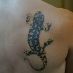 Фото рисунка татуировка саламандра 30.10.2018 №096 - salamander tattoo - tattoo-photo.ru