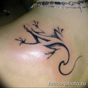 Фото рисунка татуировка саламандра 30.10.2018 №099 - salamander tattoo - tattoo-photo.ru