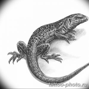 Фото рисунка татуировка саламандра 30.10.2018 №114 - salamander tattoo - tattoo-photo.ru