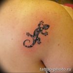 Фото рисунка татуировка саламандра 30.10.2018 №129 - salamander tattoo - tattoo-photo.ru