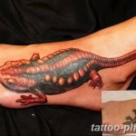 Фото рисунка татуировка саламандра 30.10.2018 №142 - salamander tattoo - tattoo-photo.ru