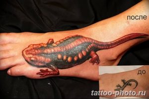 Фото рисунка татуировка саламандра 30.10.2018 №142 - salamander tattoo - tattoo-photo.ru