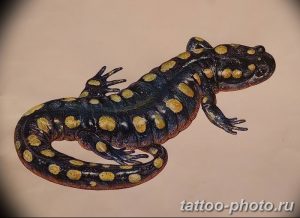 Фото рисунка татуировка саламандра 30.10.2018 №145 - salamander tattoo - tattoo-photo.ru