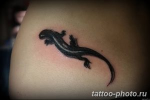Фото рисунка татуировка саламандра 30.10.2018 №147 - salamander tattoo - tattoo-photo.ru