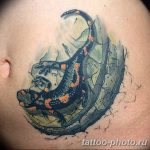 Фото рисунка татуировка саламандра 30.10.2018 №149 - salamander tattoo - tattoo-photo.ru