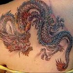 Фото рисунка тату дракон 12.10.2018 №001 - dragon tattoo - tattoo-photo.ru