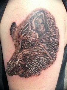 Фото рисунка тату кабан 11.10.2018 №073 - boar tattoo - tattoo-photo.ru